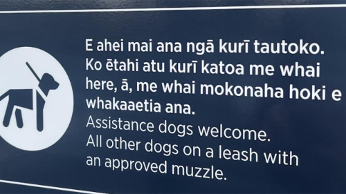 E ahei mai ana ngā kurī tautoko – Assistance dogs welcome