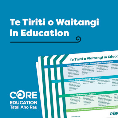 Te Tiriti o Waitangi in Education